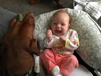 Dr. Stephanie Voice's baby lays in her boppy with the family dog resting its head next to her.