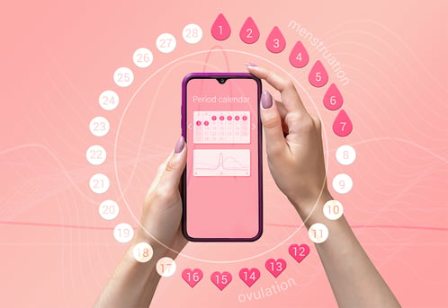 The Four Phases of the Menstrual Tracked On Phone